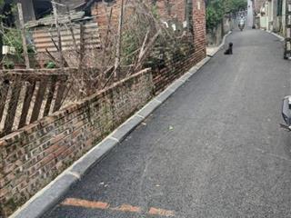 Bán đất tại ngọc chi, đông anh, hà nội, 6,6 tỷ, 56 m2 cách cầu nhật tân 200m