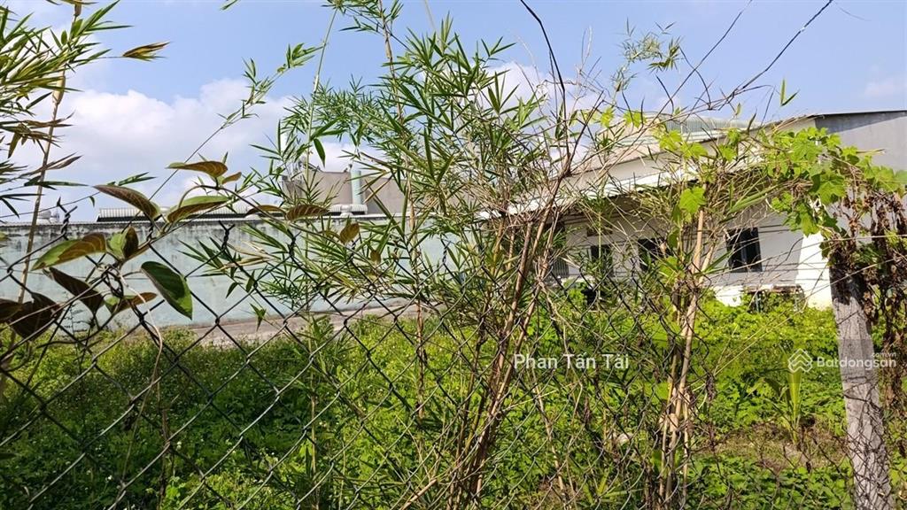 Bán đất ngang 23m 885m2  ô tô 2 chiều ra võ văn vân cách chỉ 30m  tương lai là mặt tiền đường 30m