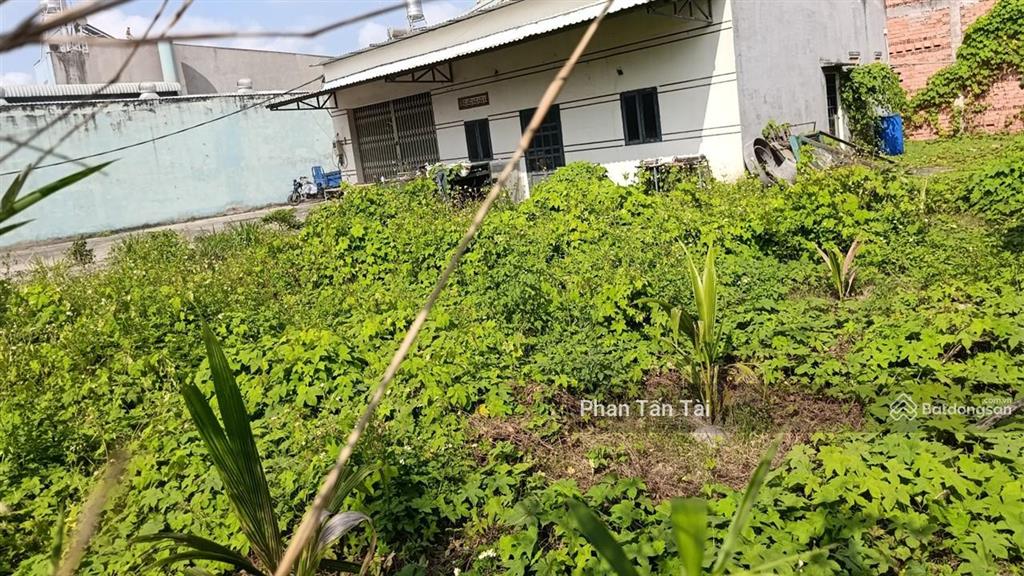 Bán đất ngang 23m 885m2  ô tô 2 chiều ra võ văn vân cách chỉ 30m  tương lai là mặt tiền đường 30m