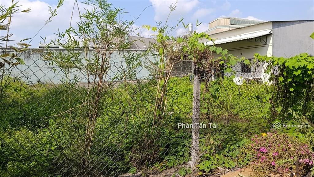 Bán đất ngang 23m 885m2  ô tô 2 chiều ra võ văn vân cách chỉ 30m  tương lai là mặt tiền đường 30m