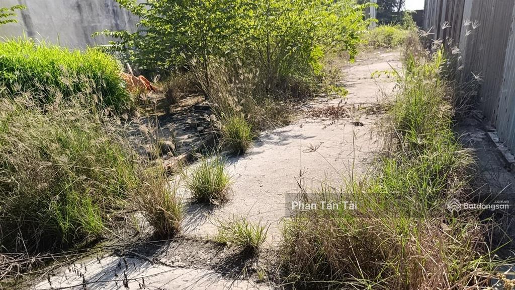 Bán đất mặt tiền 563m2  kênh a lê minh xuân  container 24h  nền bê tông  điện 3 pha  giá 15 tỷ