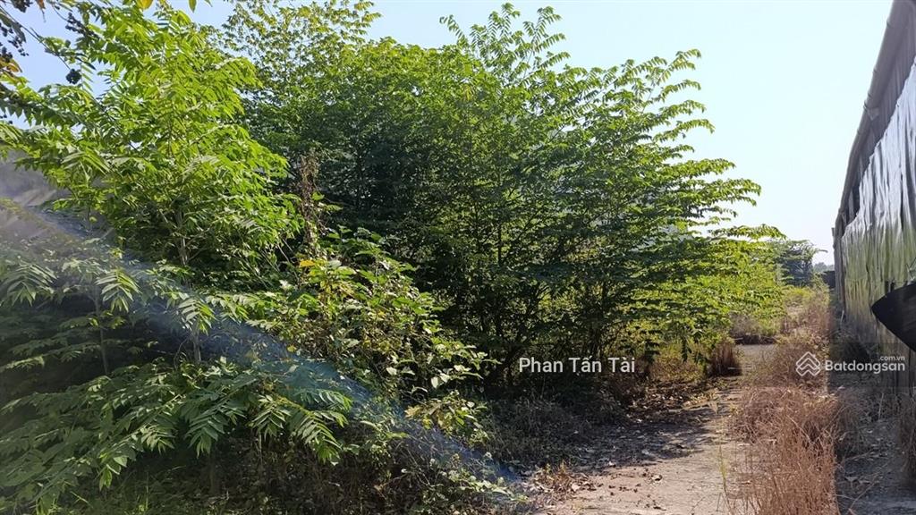 Bán đất mặt tiền 563m2  kênh a lê minh xuân  container 24h  nền bê tông  điện 3 pha  giá 15 tỷ