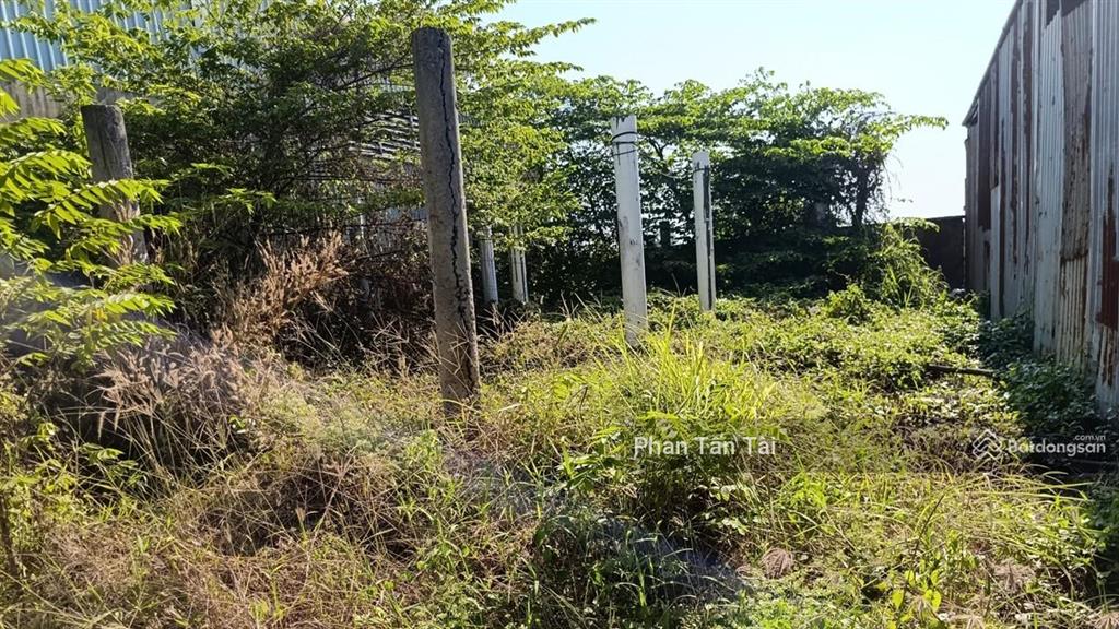 Bán đất mặt tiền 563m2  kênh a lê minh xuân  container 24h  nền bê tông  điện 3 pha  giá 15 tỷ