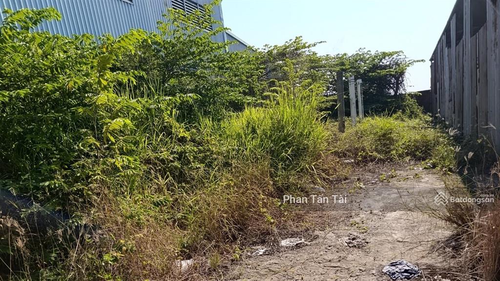 Bán đất mặt tiền 563m2 kênh a gần vđ3 lê minh xuân container 24h nền bê tông tường rào, điện 3 pha