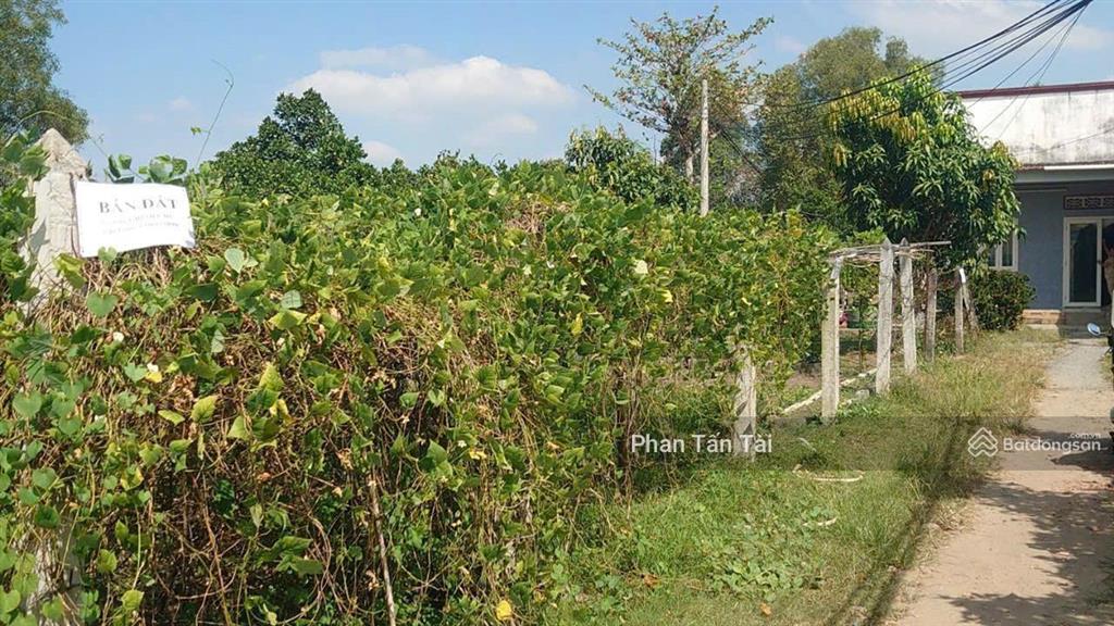 Giá còn tl 1,95 tỷ đất phú hòa đông củ chi 227.1m² có 165m² thổ cư, ngang 23m, đường ôtô 40m ra tl5