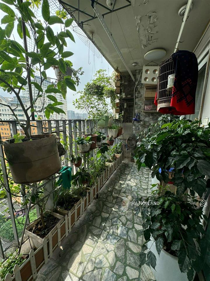 Cho thuê cc 3pn 2wc tại n04  kđt đông nam trần duy hưng, 25 triệu, 130m2.  0903 296 ***