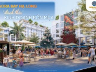 Shophouse thương phố ven vịnh phong vị âu hạ long, tọa độ vàng 2 mặt tiền, 3 bước tới biển