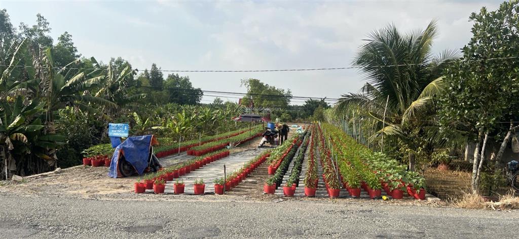 Bán đất full thổ làm kho xưởng