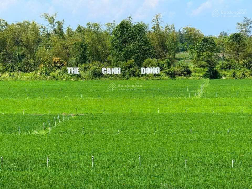 Hàng hiếm mặt tiền hai bà trưng hội an | view đồng lúa vĩnh viễn  l/h hoài uyên