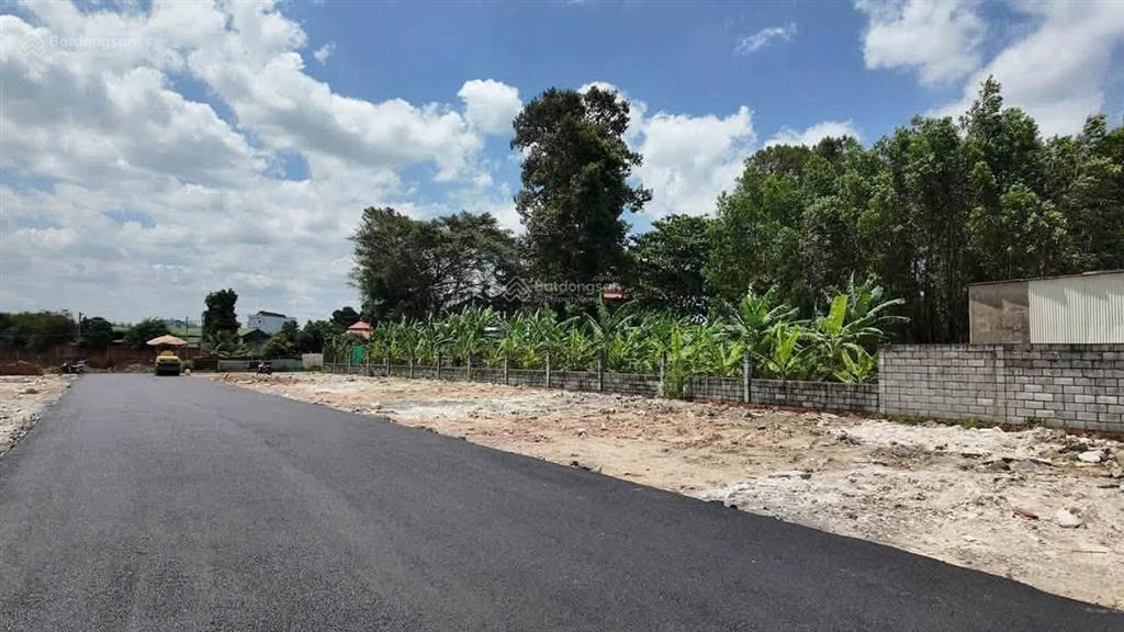Đất nền ngay chợ tân bình, ngã tư tân triều  chỉ 1 tỷ 200 triệu / nền  thương lượng mạnh