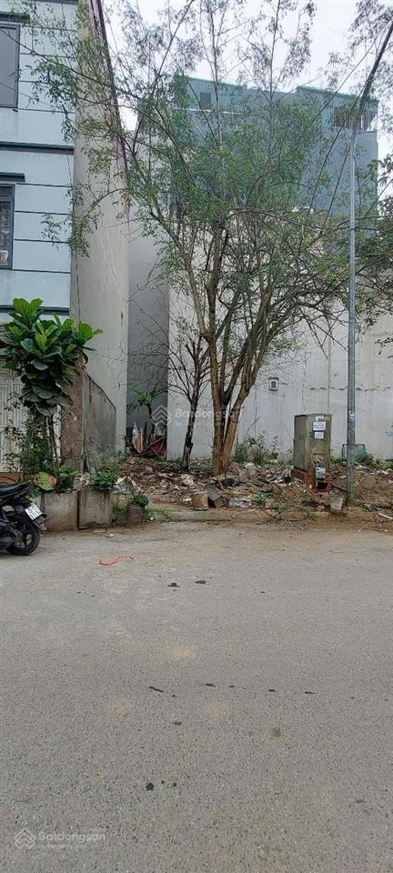 Bán đất dịch vụ mậu lương 50m2 phân lô đẹp giá 13,1 tỷ (có thương lượng)