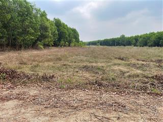 12.000 mét vuông tọa lạc tại vị trí đắc địa sát bên cụm khu công nghiệp trị an.  0355 986 ***