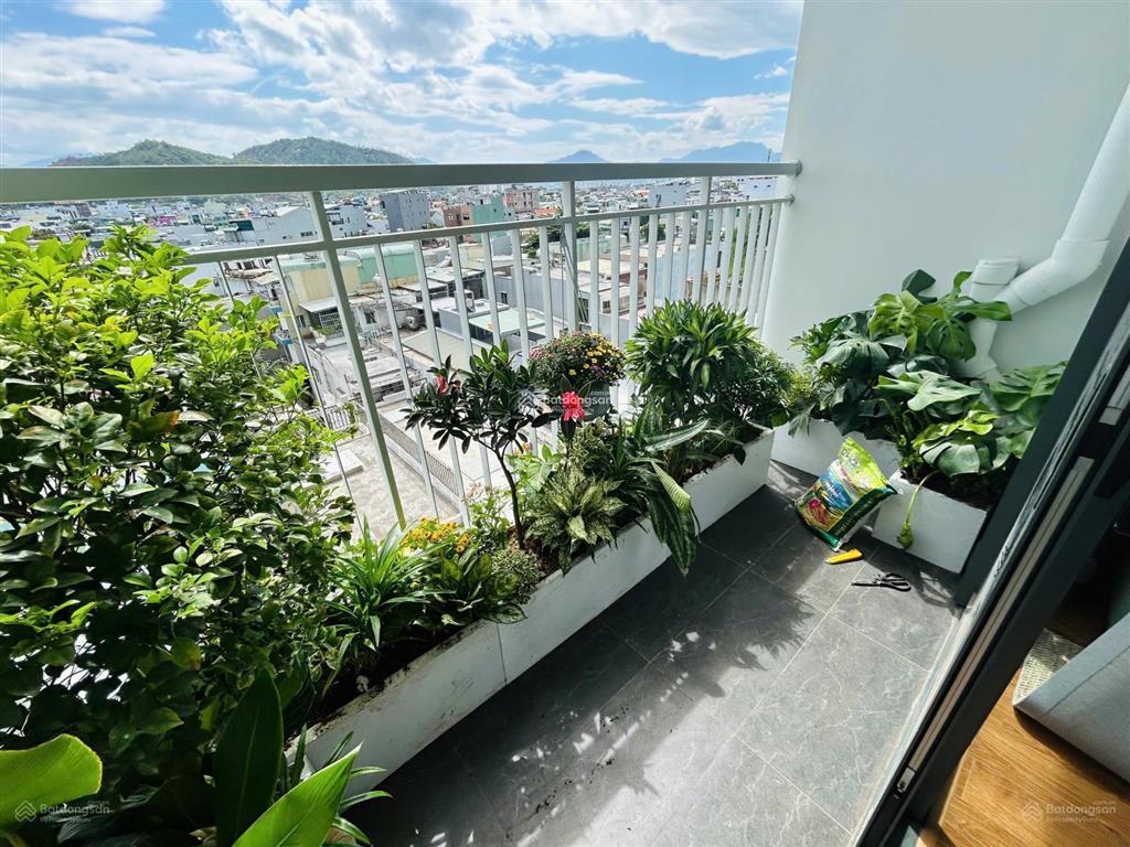 Giỏ hàng mia center point tháng 8, chọn lọc những căn đẹp, giá tốt, làm việc chính chủ nhận cọc