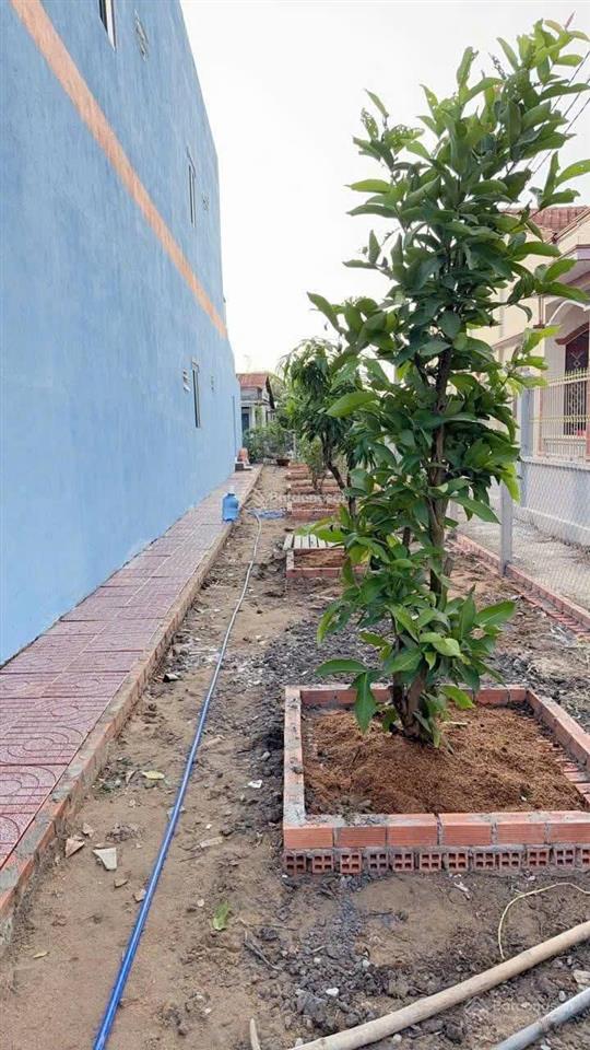 Cần bán miếng đất full thổ cư mặt tiền lộc trung, mỹ lộc, tây ninh.