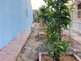 Cần bán miếng đất full thổ cư mặt tiền lộc trung, mỹ lộc, tây ninh.