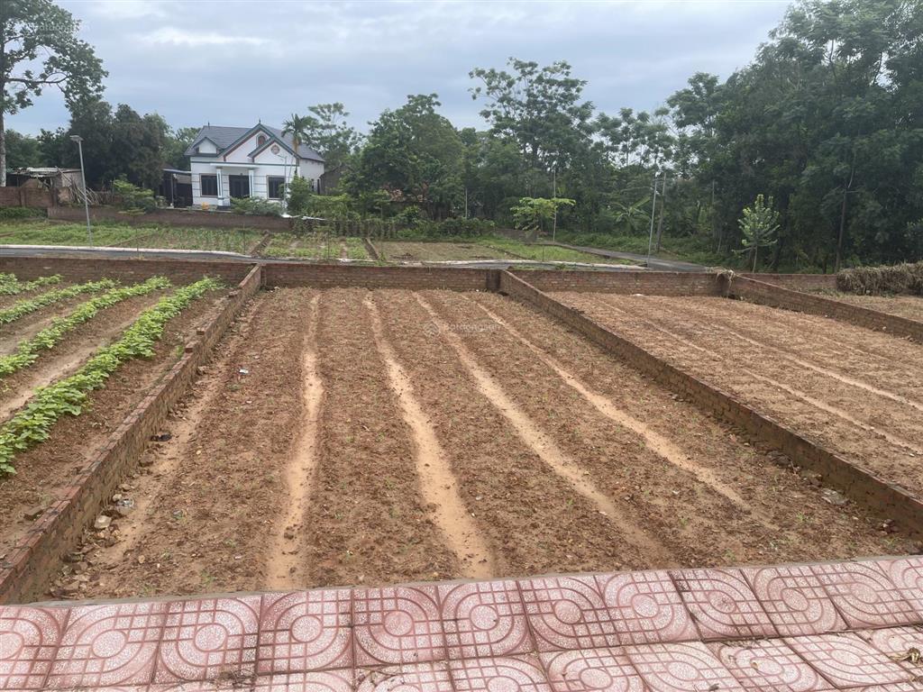 Bán đất tại bắc sơn, sóc sơn, hà nội, 12 triệu vnd/m2, 105 m2, mặt tiền 8.15m, giá cực chất