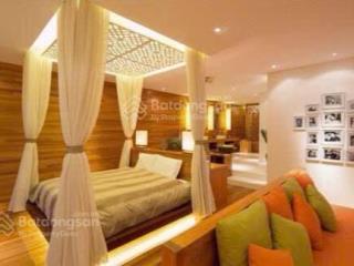 Bán biệt thự hồ biểu chánh ngang 10m giá chỉ 50 tỷ