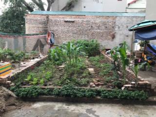 34,5m trâu quỳ ô tô đỗ cửa, 50m ra trục ô tô tránh giá chỉ 140 triệu/m