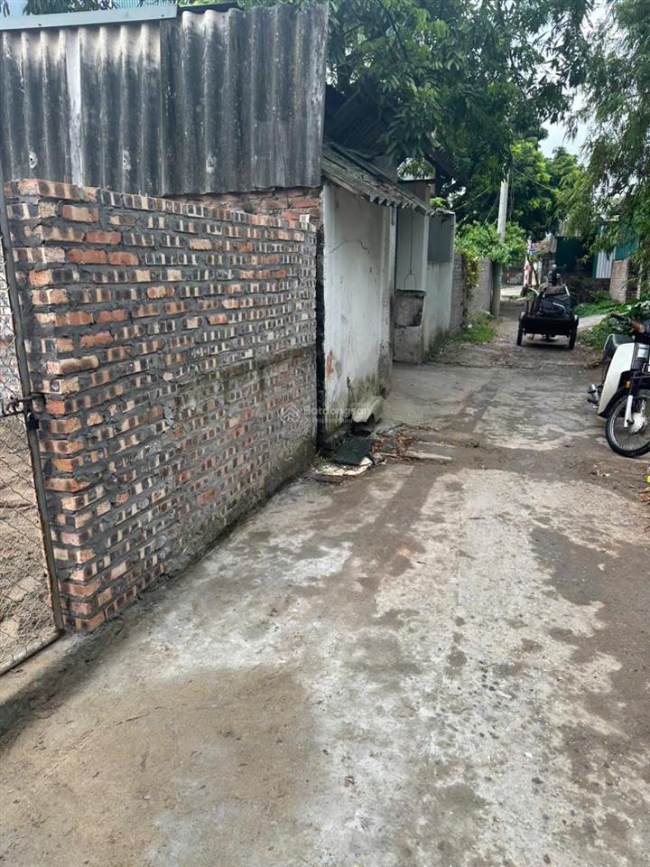 72m dương quang đường ô tô 16 chỗ giá chỉ 4 tỷ