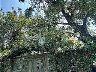 Bán gấp biệt thự 500m2 tại thảo điền, quận 2, hồ chí minh, giá 190 tỷ