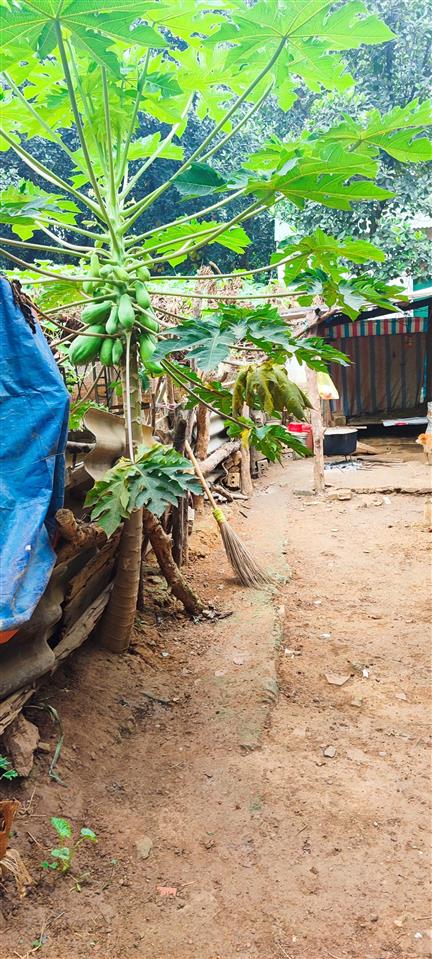 Bán đất tại ngã 3 chợ cống, đường 6, tiên phương, 6,623 tỷ, 200.7 m2