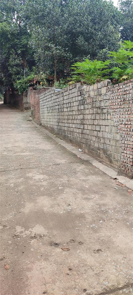 Bán đất tại ngã 3 chợ cống, đường 6, tiên phương, 6,623 tỷ, 200.7 m2