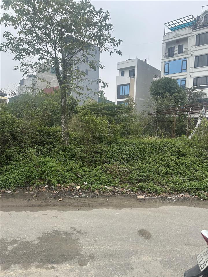 Chính chủ cần bán đất xóm tây, bình minh, hà nội