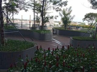 Bán chung cư sân vườn, tòa the two, gamuda, hoàng mai, hà nội