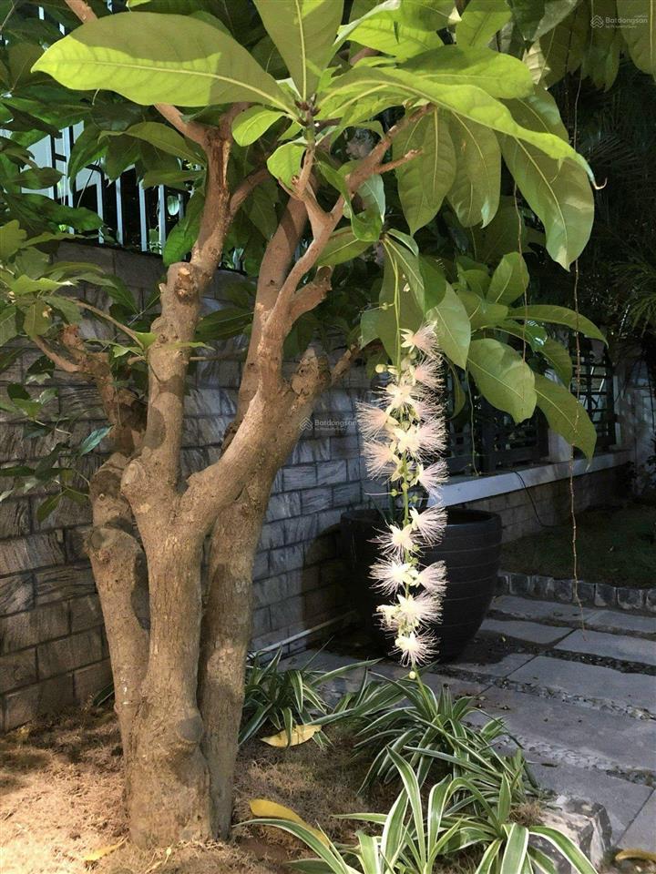 Bán biệt thự liền kề, gamuda gardens, hoàng mai, hà nội (đông tứ mệnh  sẵn ở  giá tốt)
