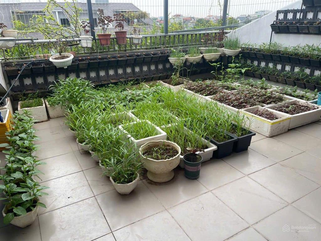 Bán bt song lập mái thái, gamuda gardens, hoàng mai, hà nội (hướng đông nam  sẵn ở  có thang máy)