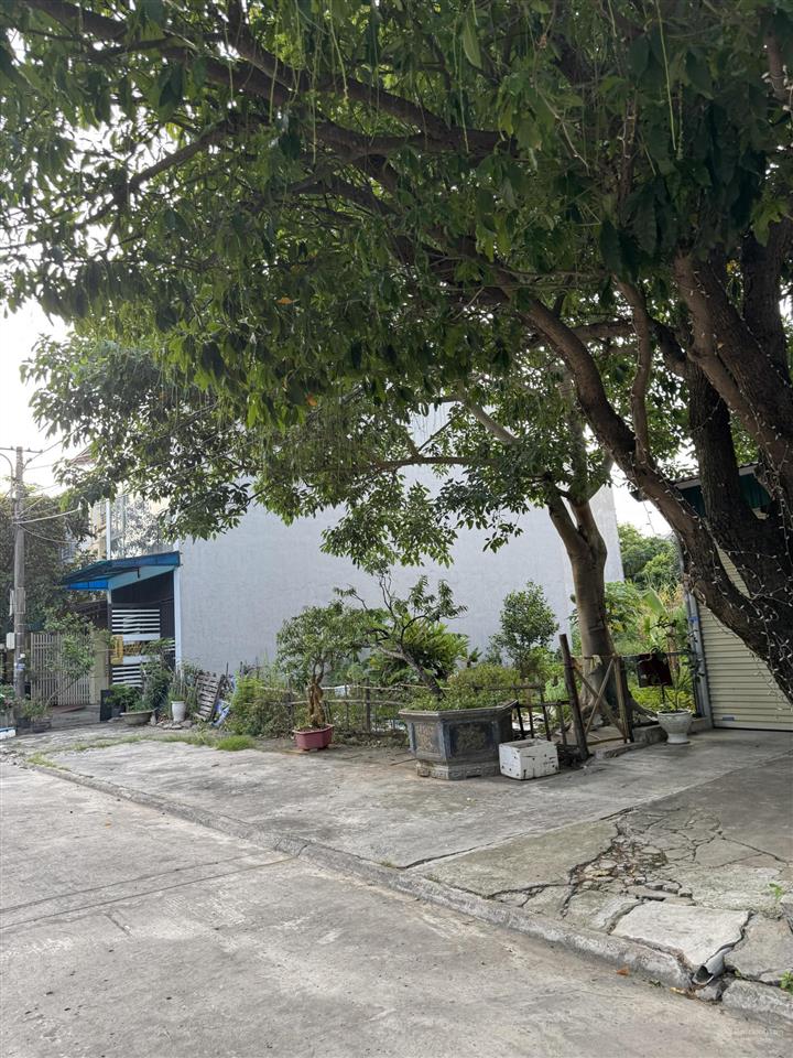 Bán lô đất đẹp bích đào phù hợp làm nhà ở hoặc kinh doanh chỉ 50**