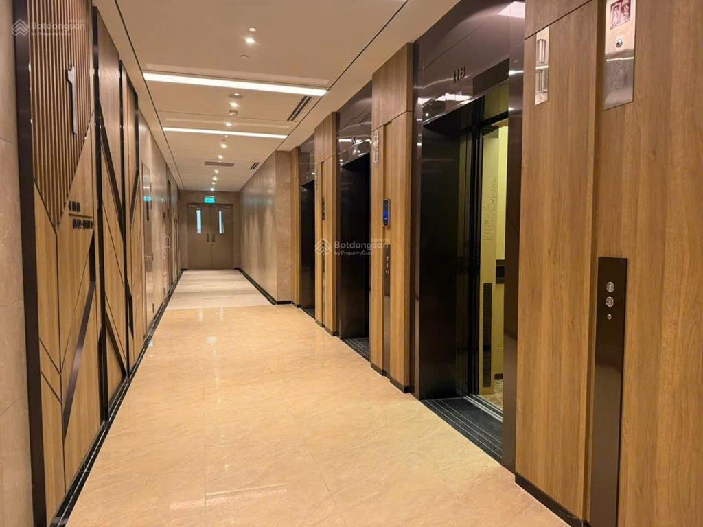 Cho thuê căn hộ 2pn tầng cao, 81m2 tại the infiniti riviera point, 20 triệu vnd, miễn phí quản lí
