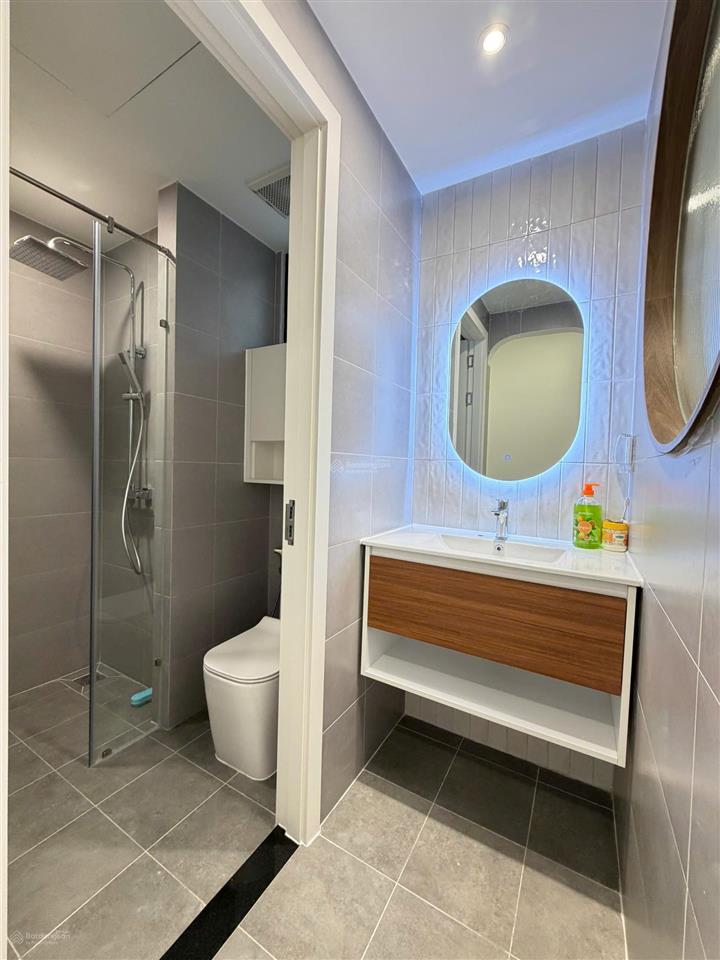 Cho thuê căn hộ 2pn, 2wc tại the infiniti riviera point, 32 triệu, 81m2, giá tốt