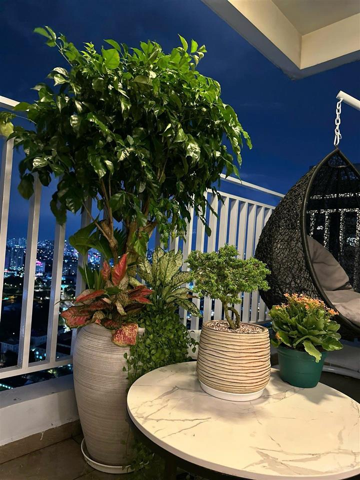 Cho thuê căn hộ riviera point, q7 nhà đẹp, 3pn, dt 148m2, ảnh thật 100%  0777 928 ***