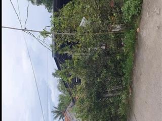 Bán đất 81a ap tân bình, 1,2 tỷ, 412,4m2, view đẹp, chính chủ