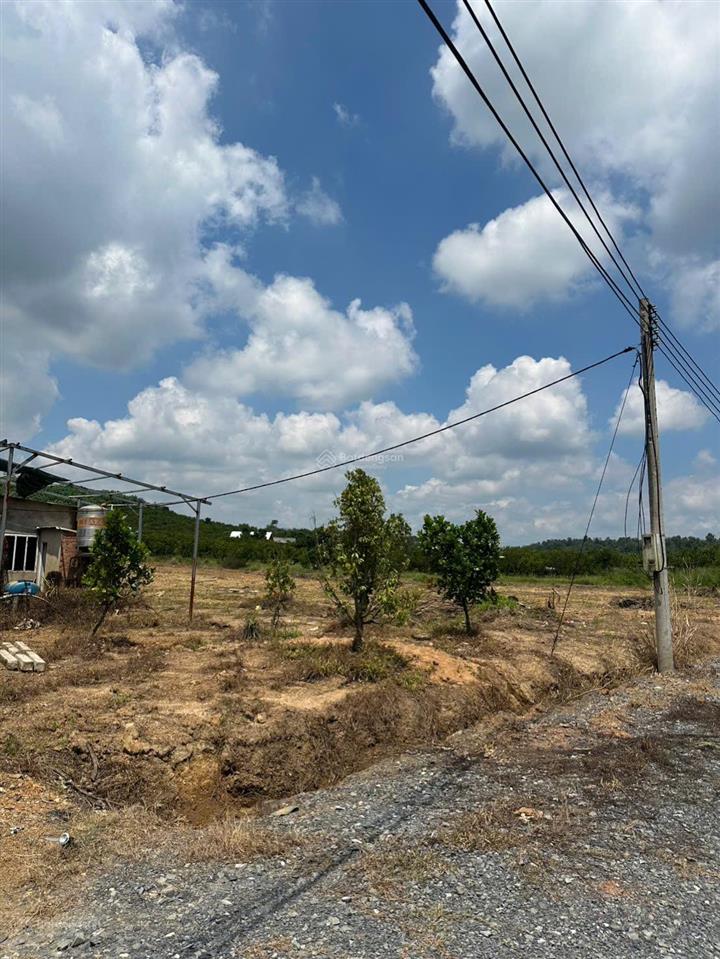 Đất 1,6ha giá 3ty1 xã thiện tân tp.hcm, điện nước đầy đủ, gần sông, gần đường lớn