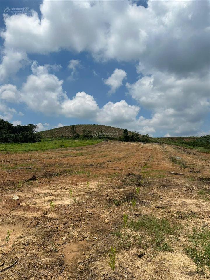 Đất 1,6ha giá 3ty1 xã thiện tân tp.hcm, điện nước đầy đủ, gần sông, gần đường lớn