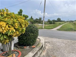 Bán 2010m2 đất trồng cây lâu năm tại xã qui đức, huyện bình chánh