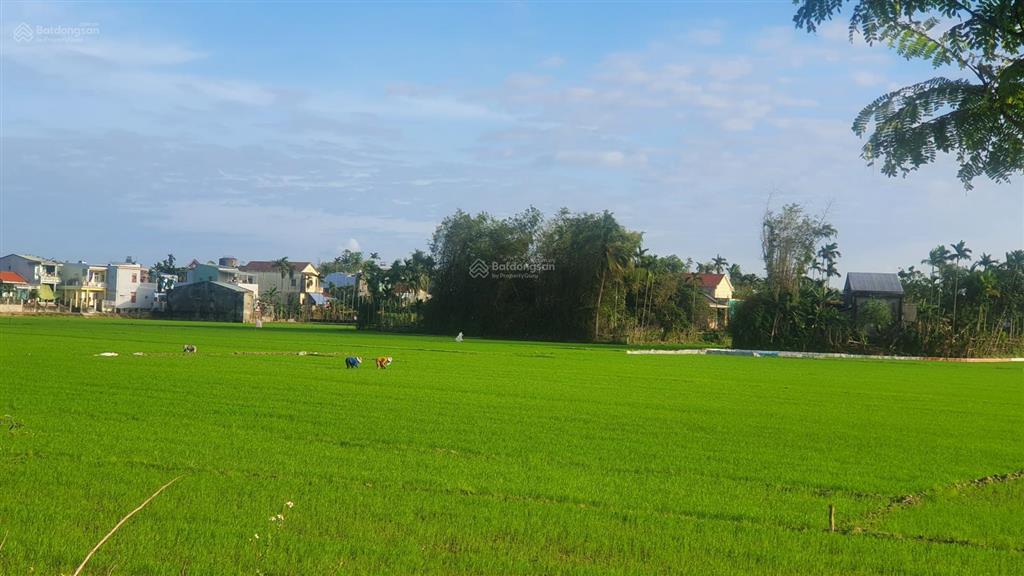 Bán đất khu phố chợ vĩnh điện vị trí đẹp, thuận tiện kinh doanh