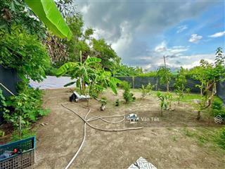 96m2 đất thổ ở tân quý tây, bình chánh chỉ 890tr, cách chợ hưng long 1km. shr, xây tự do.