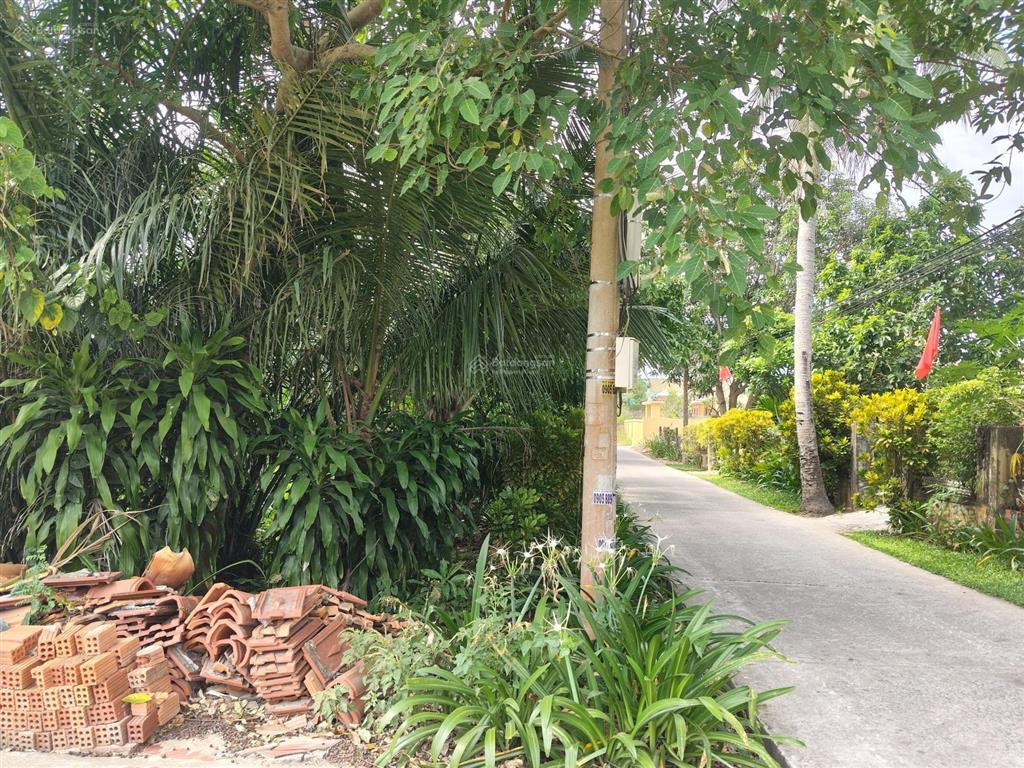 Đất bê tông ô tô, 116m2, ngang 5m, đất sạch, sát đường 33m, sát dự án khu đô thị, dân cư hiện hữu
