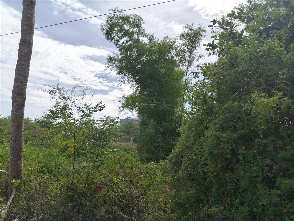 Đất bê tông ô tô, 116m2, ngang 5m, đất sạch, sát đường 33m, sát dự án khu đô thị, dân cư hiện hữu