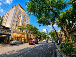 Siêu phẩm ba đình nguyễn thái học 530m mặt tiền 22m cực hiếm dòng tiền khủng