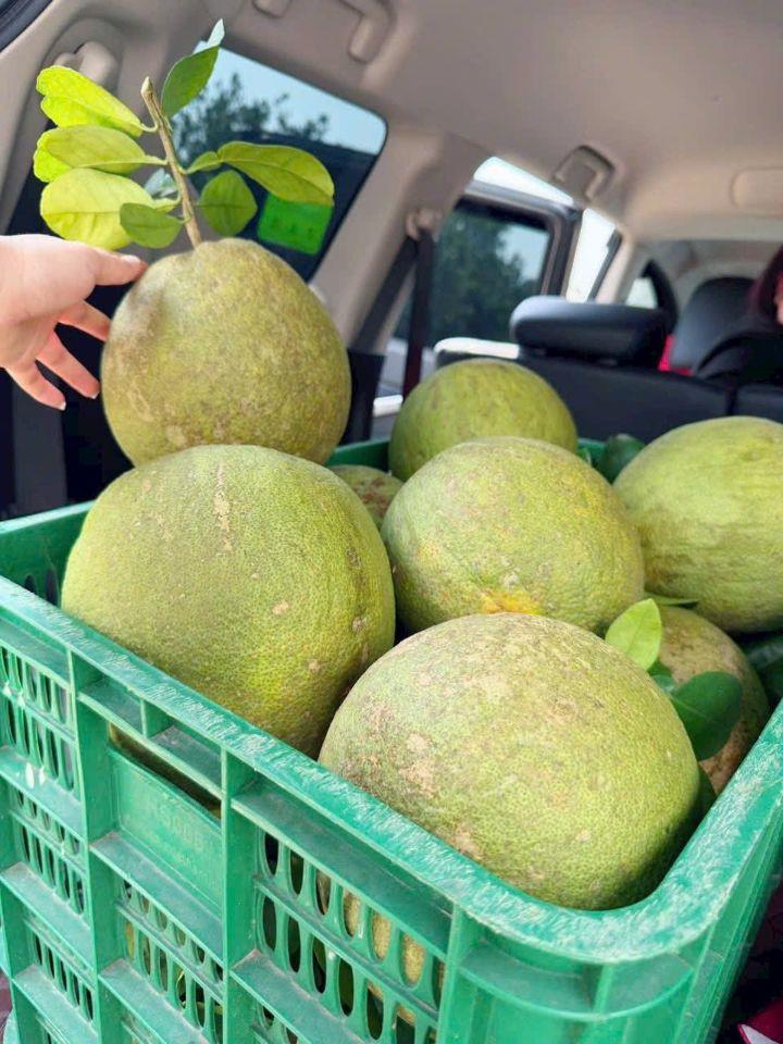 Bán đất tại Trừ Văn Thố tp HCM, 850 triệu, 250 m2, mặt tiền 5m, pháp lý đầy đủ sổ sẵn.