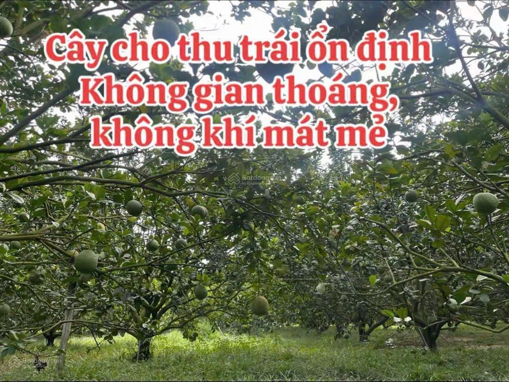 Bán đất tại trừ văn thố tp. hồ chí minh, 850 triệu, 250 m2, mặt tiền 5m, pháp lý đầy đủ sổ sẵn.