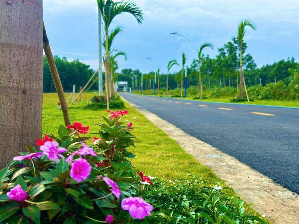 Bán đất đẹp tại ĐT 749A, Minh Thạnh, Dầu Tiếng, 950 triệu, 450m2