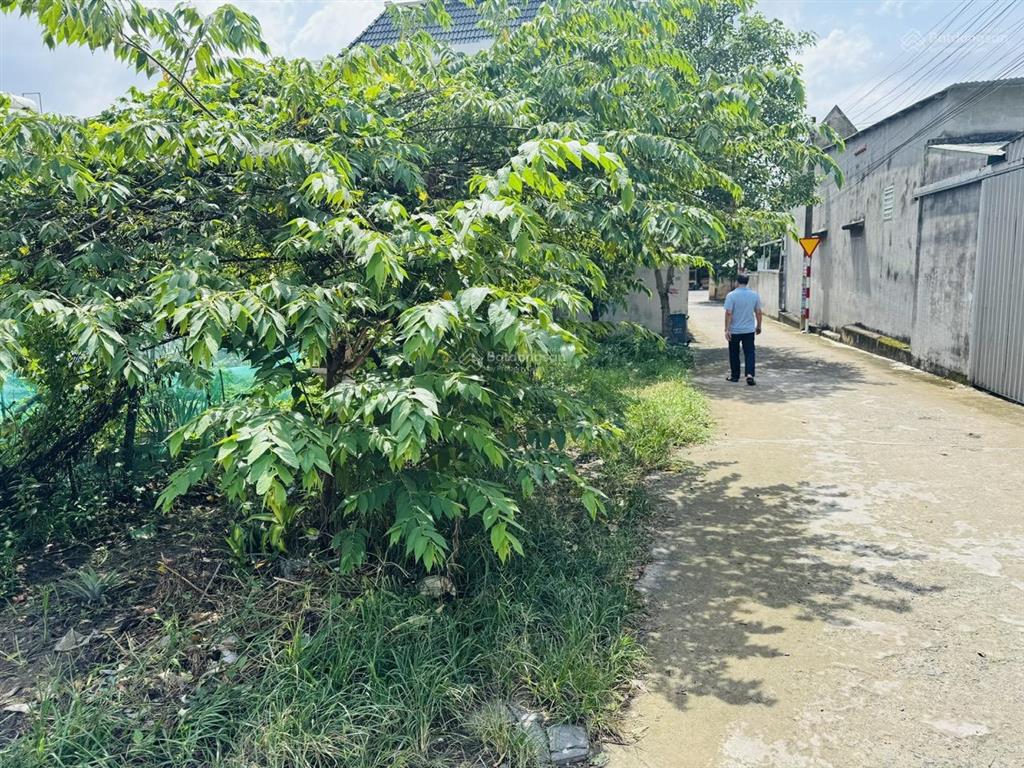 Chính chủ cần bán cặp lô đất 210m2  shr  cặp lô góc siêu đẹp. giá chỉ 1,7 tỷ/nền