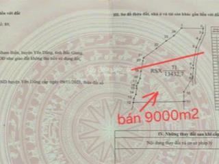 9.000m2 đất rừng gần thiền viện gần kcn yên lư giá chỉ 1 tỷ