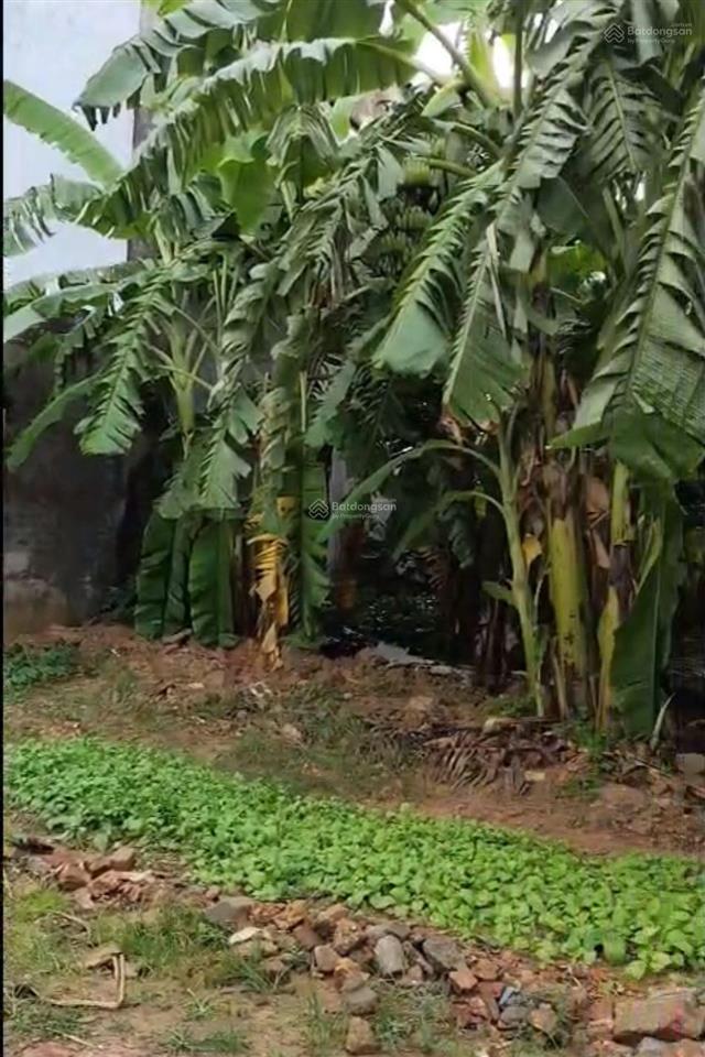 Chỉ hơn 500 triệu sở hữu ngay đất tân an yên dũng bắc giang