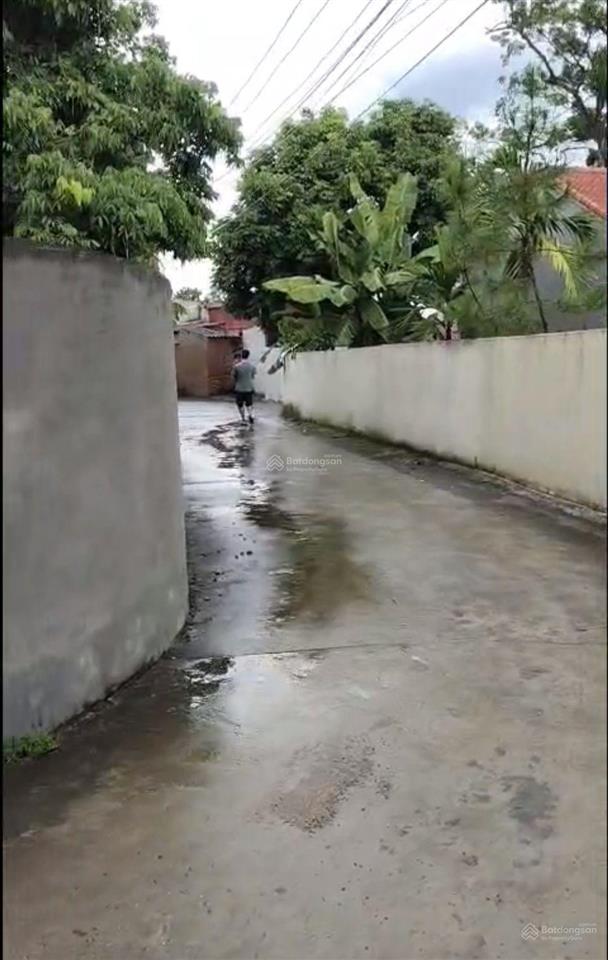 Chỉ hơn 500 triệu sở hữu ngay đất tân an yên dũng bắc giang